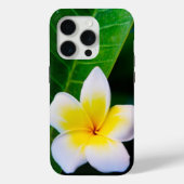 Coques Case-Mate iPhone plumérie (Verso)