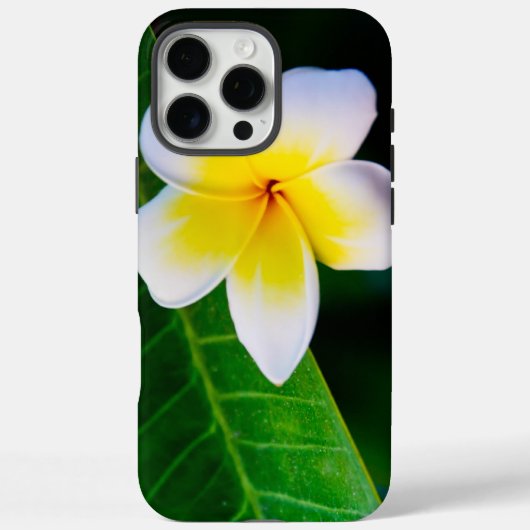 Coques Case-Mate iPhone plumérie (Verso)