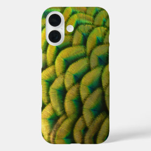 Coques iPhone 16 Plumes de paon II Nature colorée