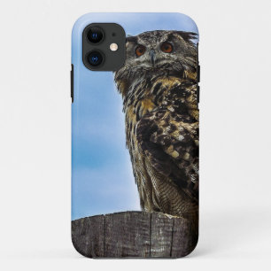 Coques Pour iPhone Plumes d'oiseau de hibou Animal Nature Destin Paix