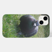 Coques Case-Mate iPhone Poing Pigeon (Verso (horizontal))