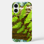 Coques Case-Mate iPhone Points forts d'un arbre botanique de séquoia (Verso)