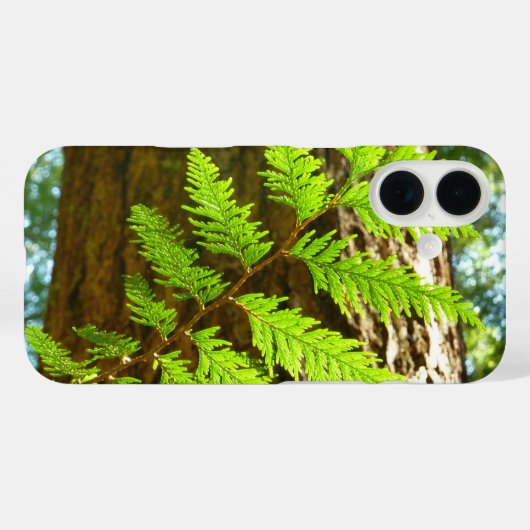 Coques Case-Mate iPhone Points forts d'un arbre botanique de séquoia (Verso (horizontal))