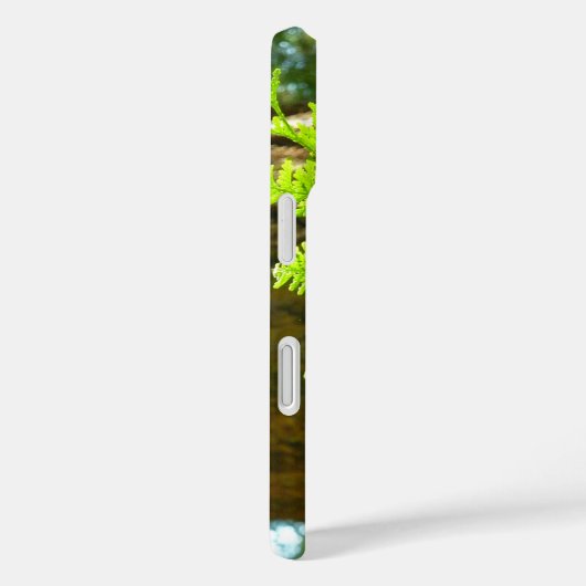 Coques Case-Mate iPhone Points forts d'un arbre botanique de séquoia (Verso / Droite)