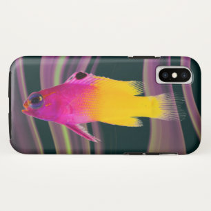Coque Case-Mate Pour iPhone Poisson