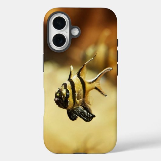 Coques Case-Mate iPhone Poisson-ange rayé Solitaire sous l'eau (Verso)