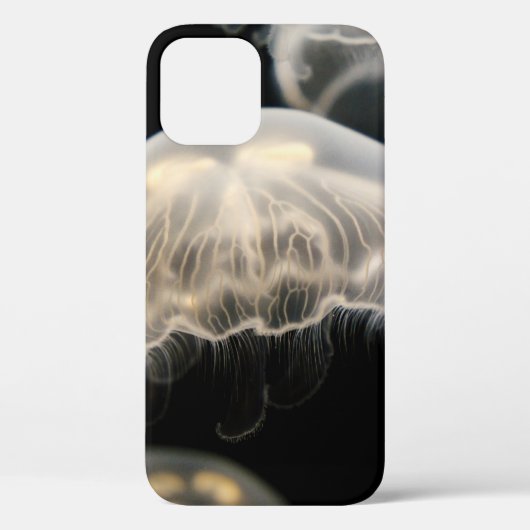 COQUES Case-Mate iPhone POISSON BLANC (Verso)