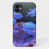 Coques Case-Mate iPhone Poisson bleu tropical (Dos)