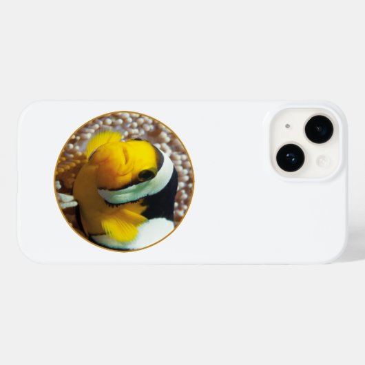 Coques Case-Mate iPhone Poisson clown - Gros plan ! Conception photographi (Verso (horizontal))