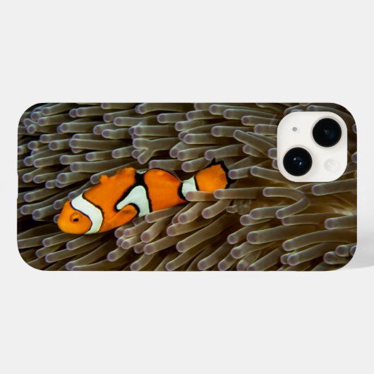 Coques Case-Mate iPhone Poisson, Corail, Sous-marin (Verso (horizontal))