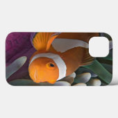 Coques Case-Mate iPhone Poisson d'anémone clown occidental (Verso (horizontal))