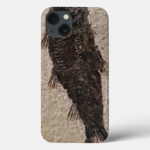 Poisson fossilisé