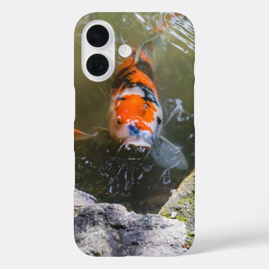 Coques Case-Mate iPhone Poisson Koi dans un étang (Verso)