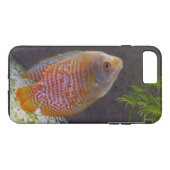 Coques Case-Mate iPhone Poisson nain Gourami (Dos (Horizontal))