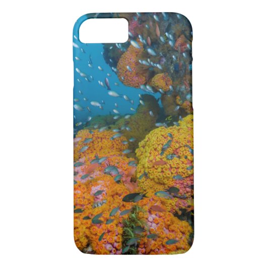 Coques Case-Mate iPhone Poisson Parmi La Barrière De Corail (Dos)