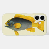 Poisson vintage bleu et jaune, Vie marine