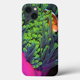 Etui iPhone Case-Mate Poissons d'anémone se cachant dans l'anémone,