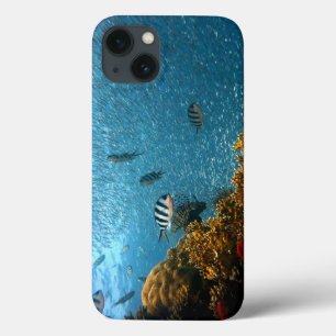 Case-Mate iPhone Case Poissons, Sous L'Eau, Coraux