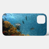 Coques Case-Mate iPhone Poissons, Sous L'Eau, Coraux (Verso (horizontal))