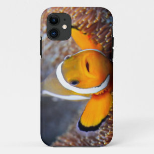 Coque Case-Mate Pour iPhone Poissons tropicaux de récif - Clownfish