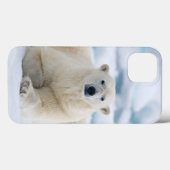 Coques Case-Mate iPhone Polaires adultes concernent la banquise d'été (Verso (horizontal))