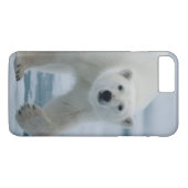 Coques Case-Mate iPhone Polar Bear, Ursus Maritimus, Adult (Dos (Horizontal))