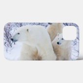Coques Case-Mate iPhone Polar Bears and Two cubs (Verso (horizontal))