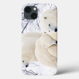 Coques Pour iPhone Polar Bears female and Two cubs