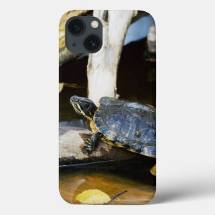 Case-Mate iPhone Case Pond slider turtle in the wild