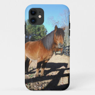 Coques Pour iPhone Poney brun ciel turquoise