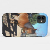 Coques Case-Mate iPhone Poney brun ciel turquoise (Dos (Horizontal))