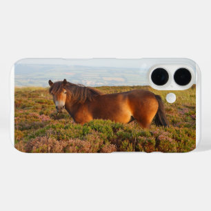 Coques iPhone 16 Poney d'Exmoor, cheval, Somerset, Angleterre