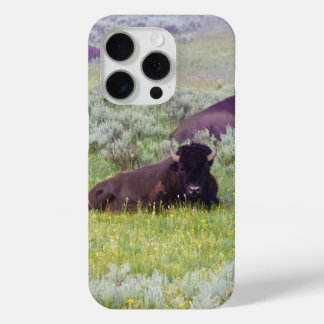 Coque iPhone 15 Pro Porte-téléphone Bison Dreams
