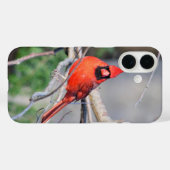 Coques Case-Mate iPhone Portrait cardinal rouge (Verso (horizontal))