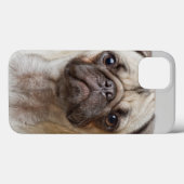 Coques Case-Mate iPhone Portrait carlin (Verso (horizontal))