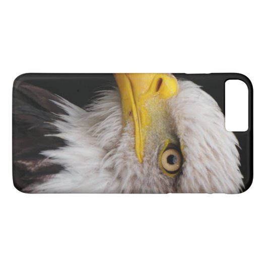 Coques Case-Mate iPhone Portrait d'aigle (Dos (Horizontal))