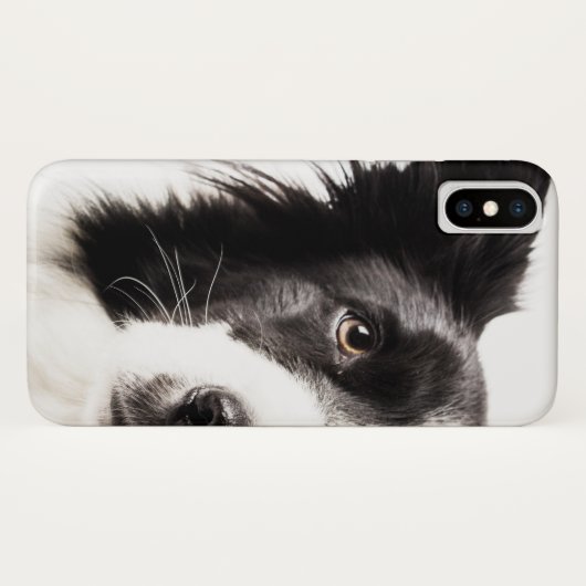 Coques Case-Mate iPhone Portrait de border collie (Dos (Horizontal))