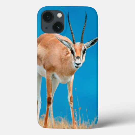 Coques Case-Mate iPhone Portrait de brebis de la gazelle de Grant (Gazella (Verso)