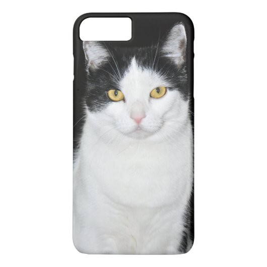 Coques Case-Mate iPhone Portrait de chat noir et blanc (Dos)
