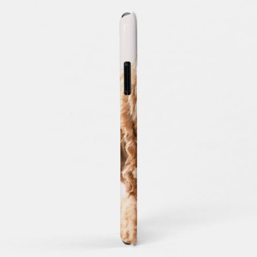 Coques Case-Mate iPhone Portrait de Goldendoodle Studio (Dos/Droite)