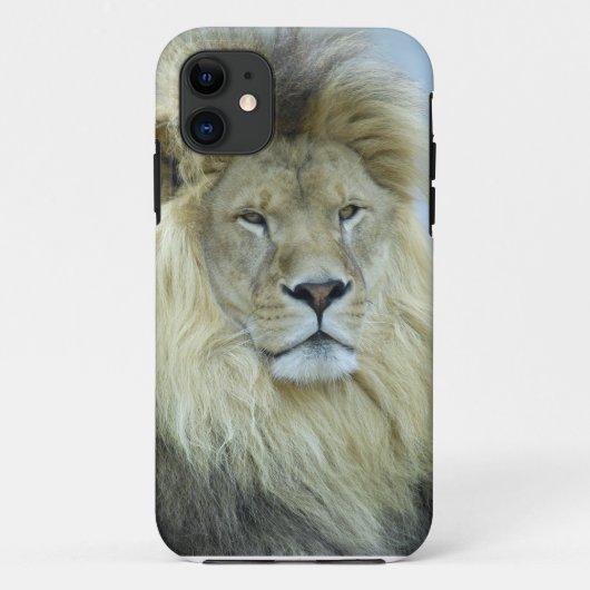 Coques Case-Mate iPhone Portrait de lion (Dos)