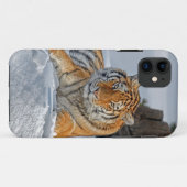 Coques Case-Mate iPhone Portrait de neige du tigre (Dos (Horizontal))