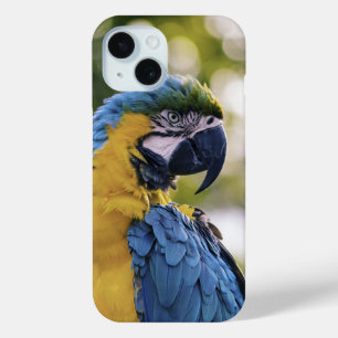 Coque Pour iPhone 15 Portrait de profil de perroquet