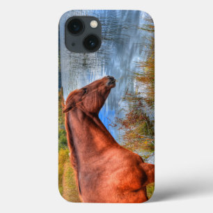 Etui iPhone 13 Portrait de Sorrel Mare & Pittoresque Lake Equine