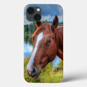 Case-Mate iPhone Case Portrait de Sorrel Mare & Pittoresque Lake Equine