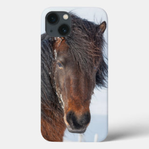 iPhone 13 Case Portrait de tête de cheval islandais royal