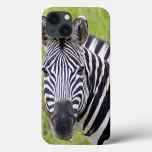 Coques Pour iPhone Portrait de zèbre de plaines, jeu de