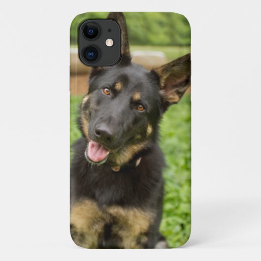 Coques Case-Mate iPhone Portrait d'un berger allemand (Dos)