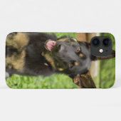 Coques Case-Mate iPhone Portrait d'un berger allemand (Dos (Horizontal))