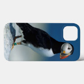 Coques Case-Mate iPhone Portrait d'un macareux atlantique (Verso (horizontal))